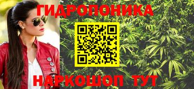 ECSTASY Гусь-Хрустальный